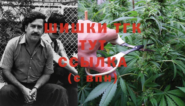 стаф Баксан