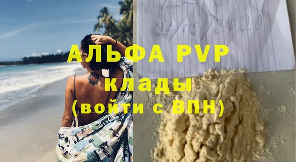 индика Балахна