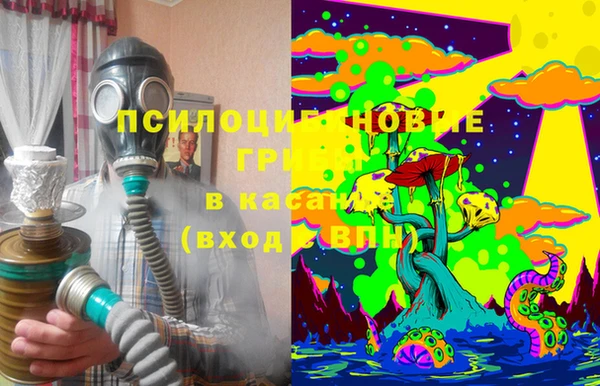 стаф Баксан