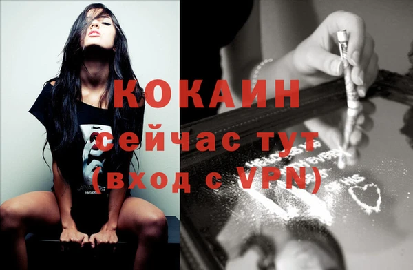 стаф Баксан