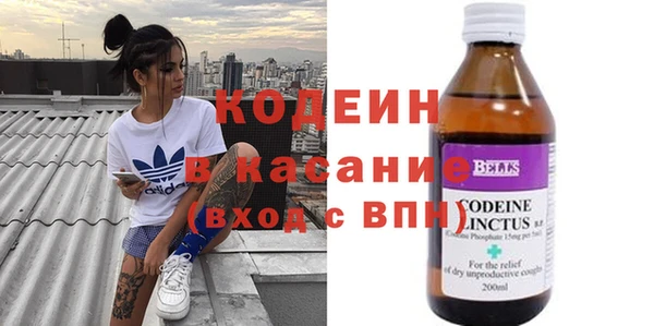 индика Балахна